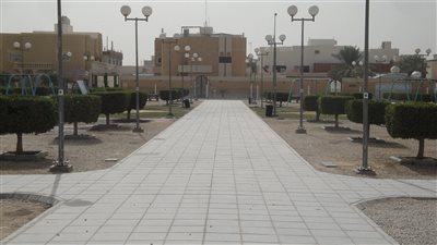 article