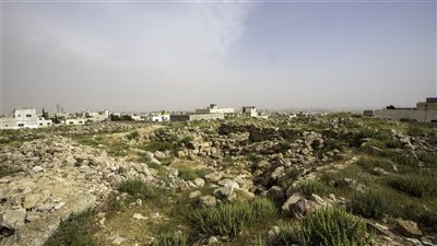 article