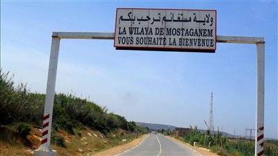 article