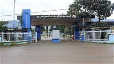 article