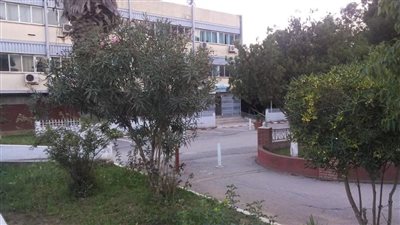 article