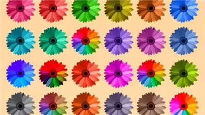 article