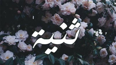 article