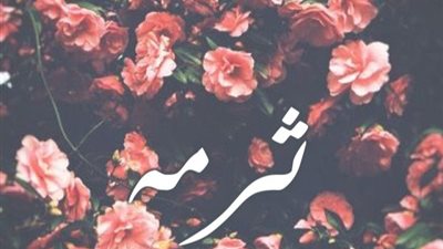 article