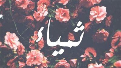 article