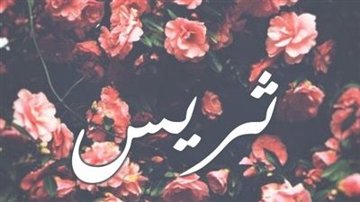article