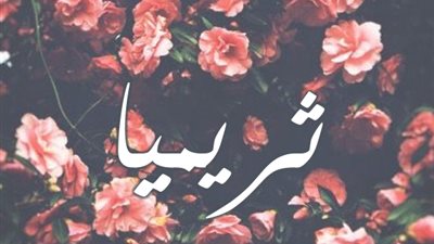 article