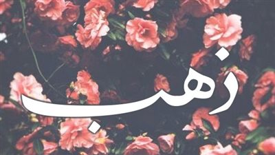 article