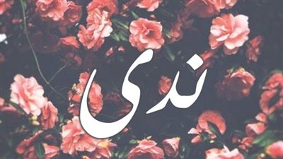article