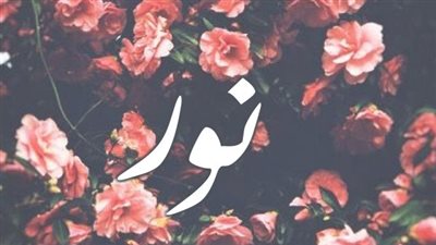 article