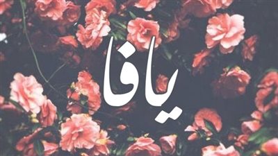 article