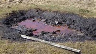 article