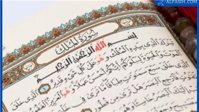 article