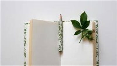 article