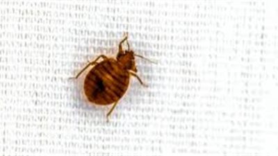 article