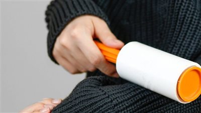 article