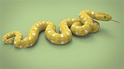 article