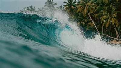 article