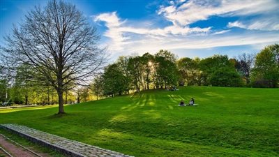article