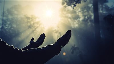 article