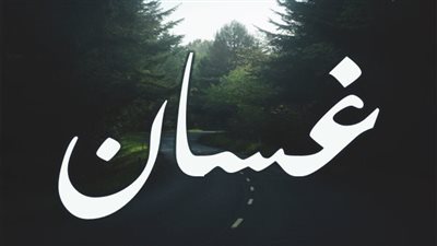 article
