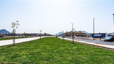 article